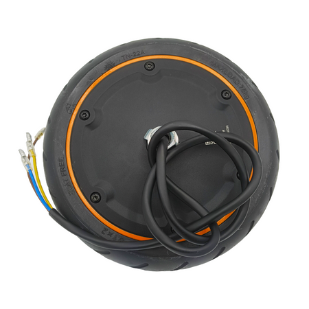 Original Motor 21.6V 250W für Xiaomi Mi 4GO