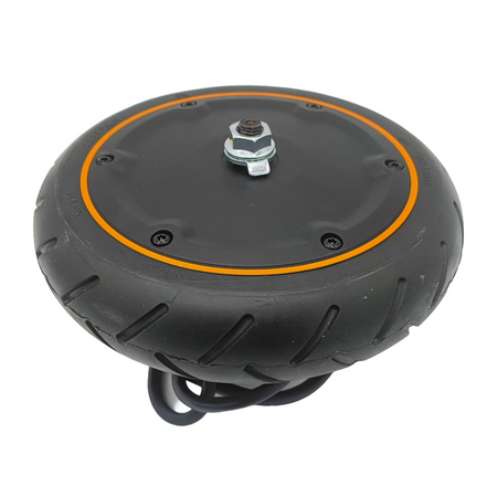 Original Motor 21.6V 250W für Xiaomi Mi 4GO