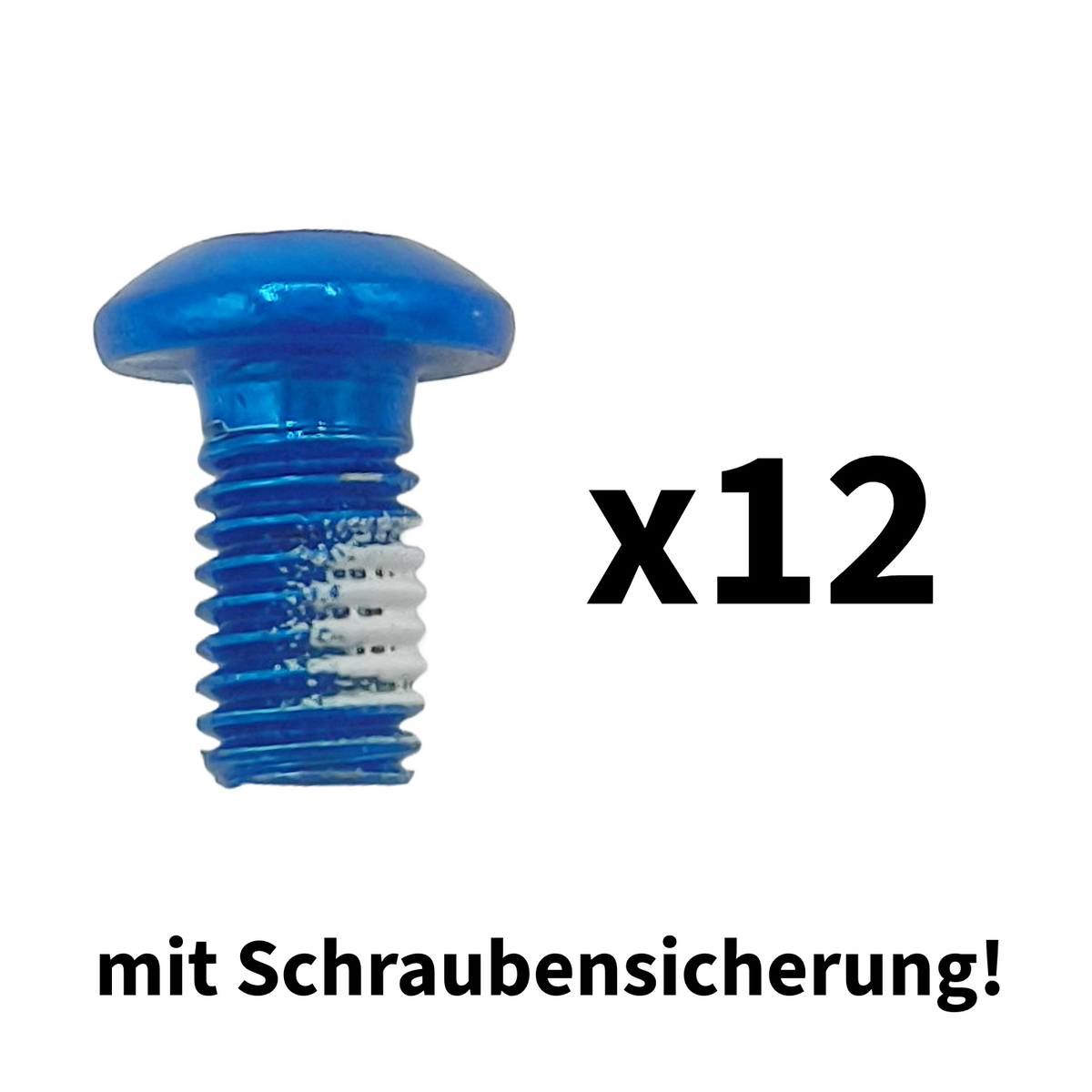 Torx Schrauben blau eloxiert mit Schraubensicherung 12 Stück für Bremsscheibe Aftermarket