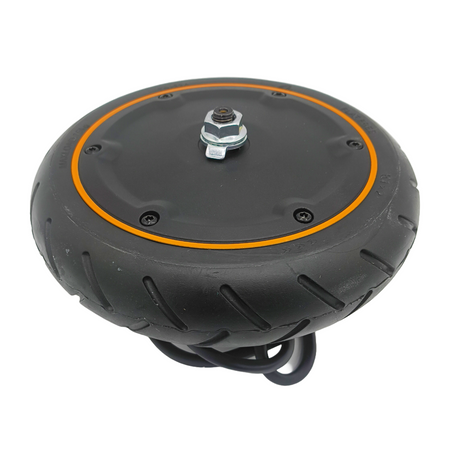 Original Motor 21.6V 250W für Xiaomi Mi 4GO